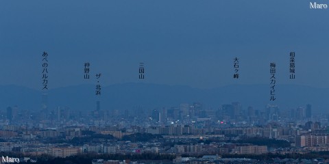 箕面市 彩都なないろ公園から大阪の高層ビル群、和泉山脈を望む 2015年3月