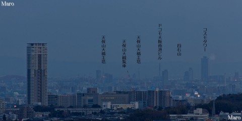 箕面市 彩都なないろ公園から大阪港方面、天保山大観覧車、コスモタワーを望む 2015年3月