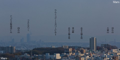 彩都なないろ公園から大阪港、コスモタワー、りんくうゲートタワービルを望む 2015年3月