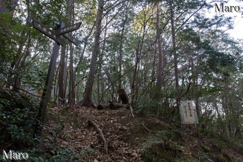 「大田の小径」の分岐 ←神宮寺山 ↓大田神社 ↑小池 京都市北区 2015年3月