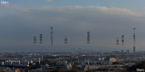 箕面市 彩都なないろ公園の展望 和泉山脈、大阪平野、都心部のビル街を望む 2015年3月