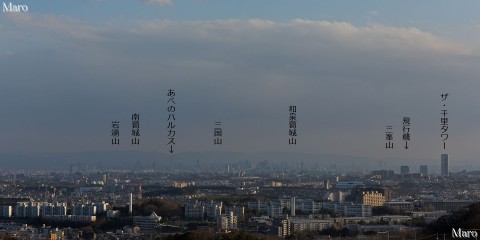 箕面市 彩都なないろ公園の展望 和泉山脈、大阪平野、都心部のビル街を望む 2015年3月