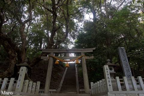 粟生一宮 素盞嗚尊神社 大阪府箕面市 2015年4月