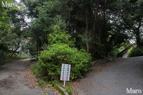 粟生高原自然歩道 KDDI基地局と素盞嗚尊神社の分岐 2015年4月