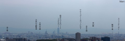 「彩都なないろ公園」の裏山から紀泉アルプス、大阪港、コスモタワーを遠望 2015年4月