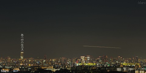 彩都なないろ公園の夜景 大阪の高層ビル群、あべのハルカス、梅田の観覧車 2015年4月