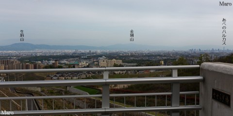 彩都 川合裏川「せせらぎ橋」の展望 大阪平野、生駒山を眺望 箕面市 2015年4月