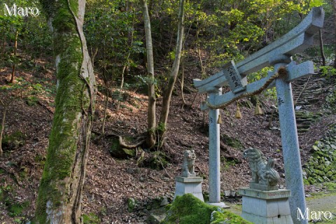 愛宕山 空也滝 「八大龍王」鳥居 京都市右京区 2015年5月