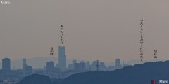 伏見稲荷大社 荒神峰から「あべのハルカス」、「りんくうゲートタワービル」を遠望 2015年9月