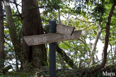 三国岳・経ヶ岳（経ガ岳）・岩谷峠の分岐 高島トレイル 京都滋賀府県境 2011年8月