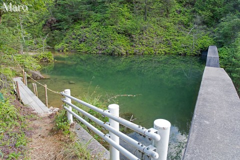 十九道ダムの上 白糸の滝へのハイキングコース 滋賀県栗東市 2015年7月