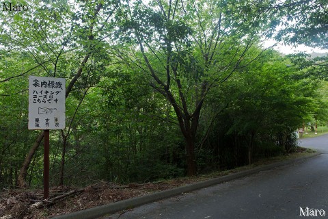 十九道ダムのハイキングコースを示す案内標識 滋賀県栗東市 2015年7月