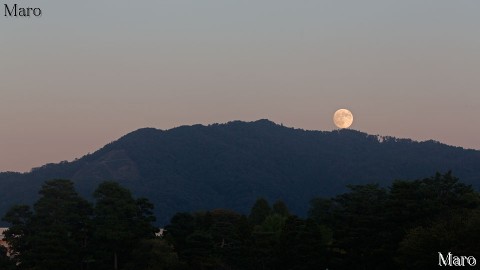 大文字山から昇る「中秋の名月」 京都御苑で観賞 2015年9月27日