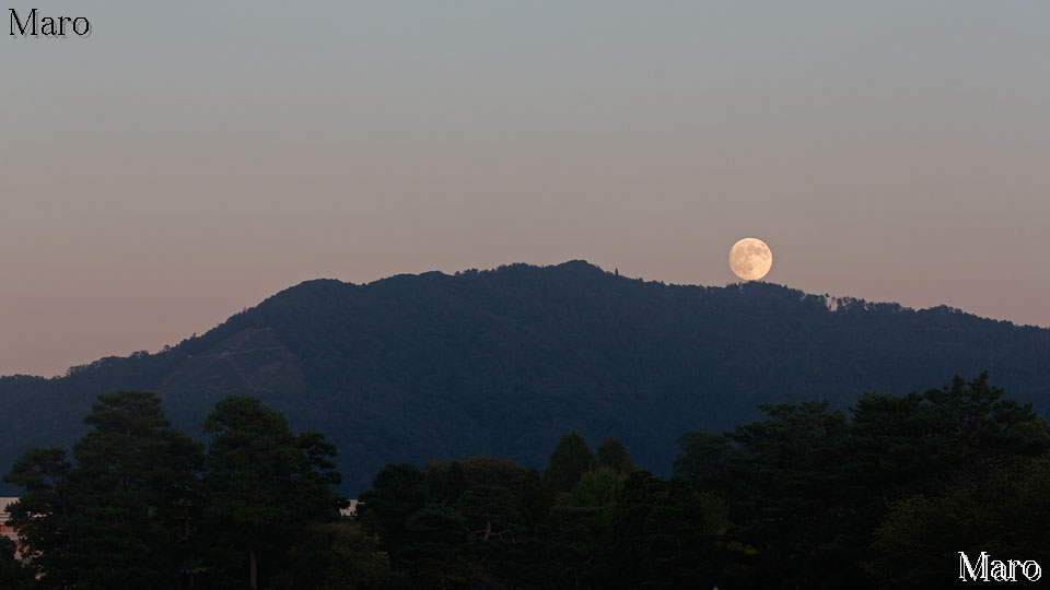 大文字山から昇る「中秋の名月」 京都御苑で観賞 2015年9月27日