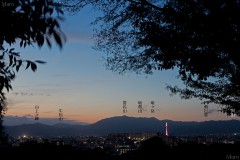 伏見稲荷山の帰り坂 本寺山から桃色の京都タワーと京都の夕景、夜景を望む 2015年10月