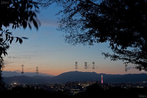 伏見稲荷山の帰り坂 本寺山から桃色の京都タワーと京都の夕景、夜景を望む 2015年10月