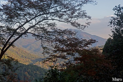 二ノ瀬から夜泣峠へ つづら折りの山道 紅葉越しに比叡山を望む 2015年11月