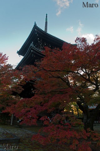 真如堂（真正極楽寺） 三重塔と紅葉と夕日 2015年11月10日