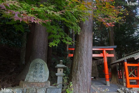 守谷神社・富士神社 惟喬親王社 紅葉 京都市左京区鞍馬二ノ瀬町 2015年11月