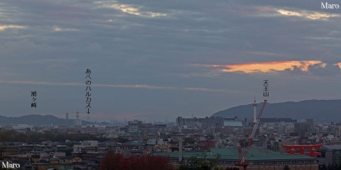 東山三十六峰 紫雲山 くろ谷（金戒光明寺）から京都タワー、平安神宮大鳥居を望む