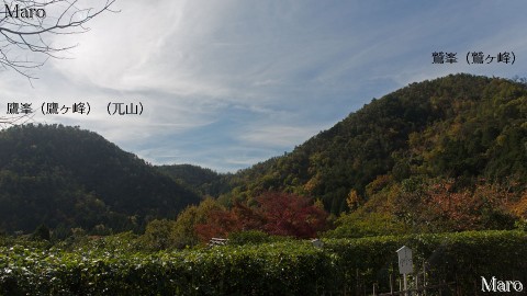 光悦寺から「鷹峯(鷹ヶ峰)」と「鷲峯(鷲ヶ峰)」を望む 鷹峯三山 2015年11月 光悦寺から「鷹峯(鷹ヶ峰)」と「鷲峯(鷲ヶ峰)」を望む 鷹峯三山 2015年11月