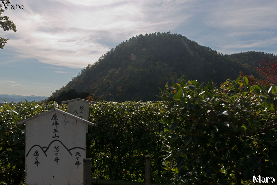 光悦寺 「鷹峯三山（鷹峰三山）」景勝地 京都市北区 2015年11月