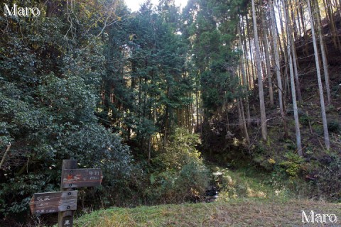 桃山・吉兆山ハイク 東海自然歩道「坂尻下」から「護法ヶ谷」へ 2015年11月