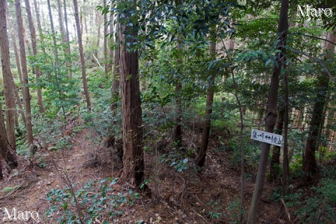 鷹峯（鷹ヶ峰）への急な下山道 「鷹ヶ峰←・→桃山」道標 2015年11月