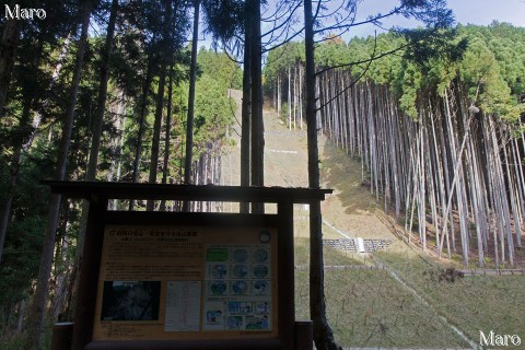 天神川の源流 左岸の治山事業 京都市北区鷹峯 2015年11月