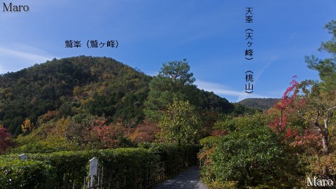 光悦寺から「鷲峯(鷲ヶ峰)」と「天峯(天ヶ峰)」を望む 鷹峯三山 2015年11月 光悦寺から「鷲峯(鷲ヶ峰)」と「天峯(天ヶ峰)」を望む 鷹峯三山 2015年11月