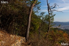 京都北山 桃山（天峯、天ヶ峰）の見晴台（展望地） 京都市 2015年11月