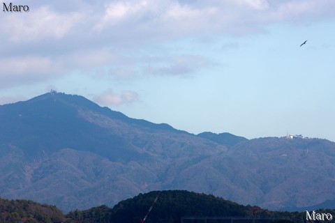 嵐山・法輪寺の舞台から「都富士」比叡山とトビ（鳶）を望む 京都市 2015年12月