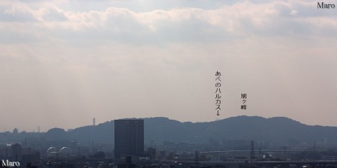 京都東山・太閤坦（豊国廟）から鳩ヶ峰（男山）越しに大阪・あべのハルカスを遠望 2016年1月