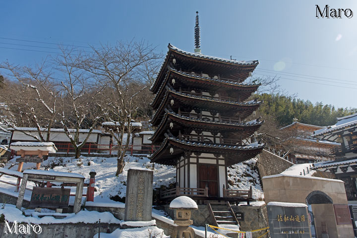 雪の瑞岳寺・五重塔と瑞岳寺・金閣 彦根・佐和山遊園 2016年1月