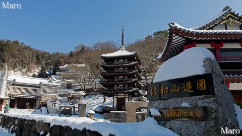 積雪する彦根・佐和山遊園 平成28年1月寒波の直後 2016年1月