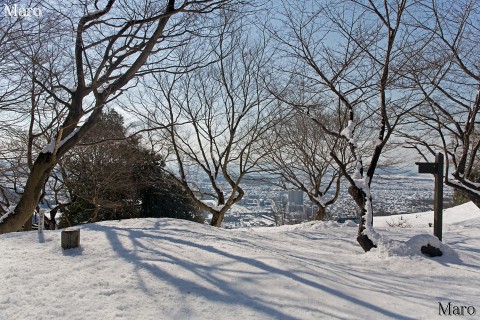 佐和山の山頂（三角点232.6m） 深く積雪した佐和山城跡 滋賀県彦根市 2016年1月