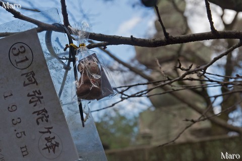申年に東山・阿弥陀ヶ峰を登頂 太閤秀吉さんの墓所「豊国廟」 山名標と神猿さん