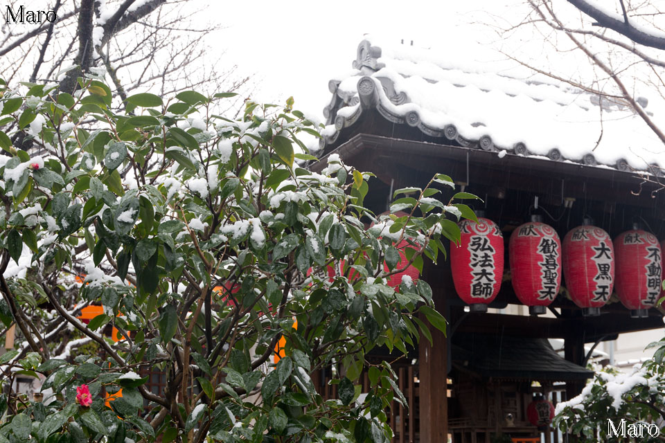 雪降る雨宝院（西陣聖天宮） 白い染殿井（そめどのい） 京都市上京区 2016年1月20日