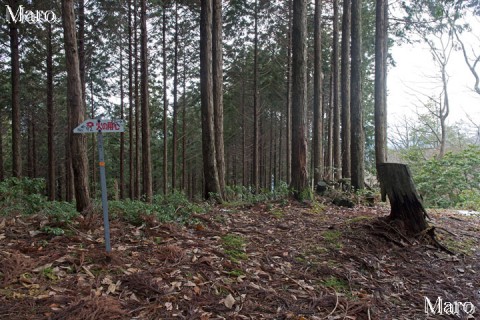 天ヶ岳～百井峠 関電巡視路 92号鉄塔と93号鉄塔の分岐 2016年1月