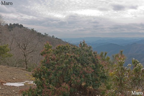 京都北山 天ヶ岳の北 送電鉄塔（山城北線 九十二）の展望地 2016年1月