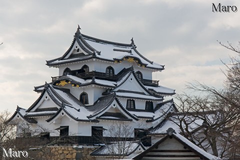 雪の彦根城天守を近景で 天守前の展望台から撮影 2016年1月