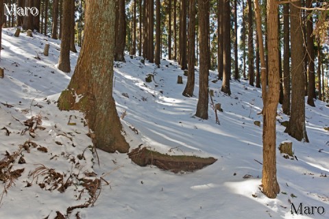 百井峠（国道477号）から天ヶ岳の取付 雪上に踏み跡なし 2016年2月