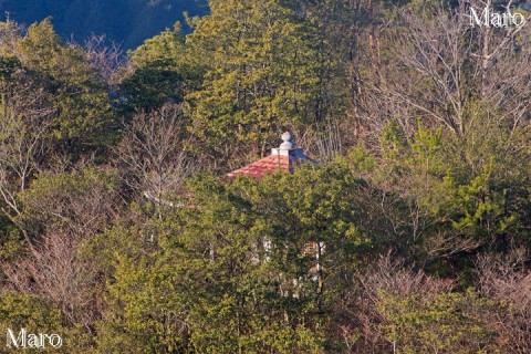 御室八十八ヶ所「第四十八番 西林寺」から「第三十三番 雪蹊寺」の赤い屋根を撮影