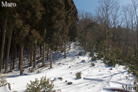 百井峠～92号・93号鉄塔分岐 新雪踏みハイク 天ヶ岳の関電巡視路 2016年2月
