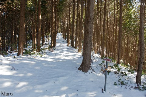 積雪する天ヶ岳の北尾根 92号・93号鉄塔分岐 2016年2月