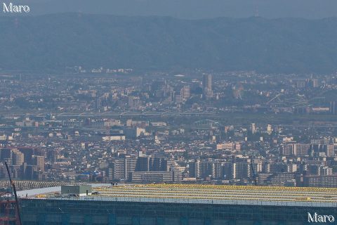 ひらかたパークの観覧車「スカイウォーカー」や淀川に架かる枚方大橋を茨木市の鉢伏山から遠望