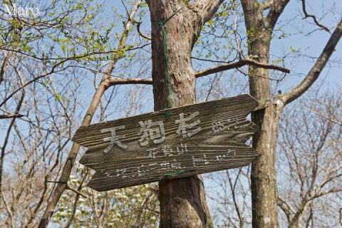 別称の「花背山」も示した山名標 天狗杉 2016年4月