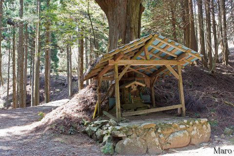 旧花脊峠の地蔵 花脊・鞍馬・芹生分岐 2016年4月