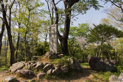鉢伏山の山頂 記念碑とヤマザクラ（山桜） 大阪府茨木市 2016年4月