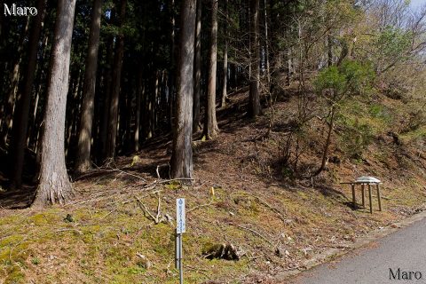 芹生峠から旧花脊峠への取付（登山口） 2016年4月